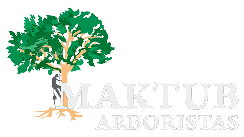 Maktub Arboristas